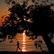 Image for article titled Check This Out: Mornings